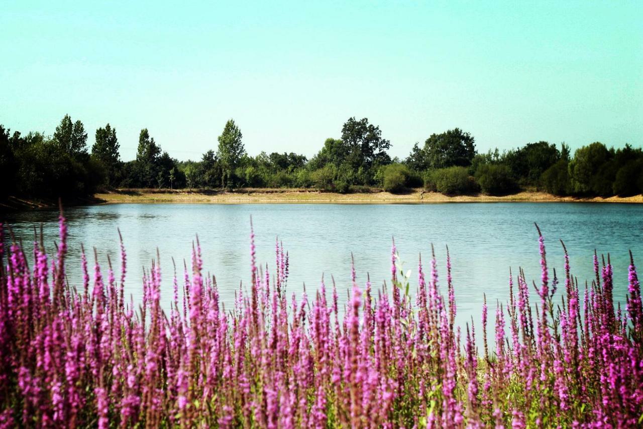 Camping Au Pre De L'Etang Sainte-Foy  Exterior photo